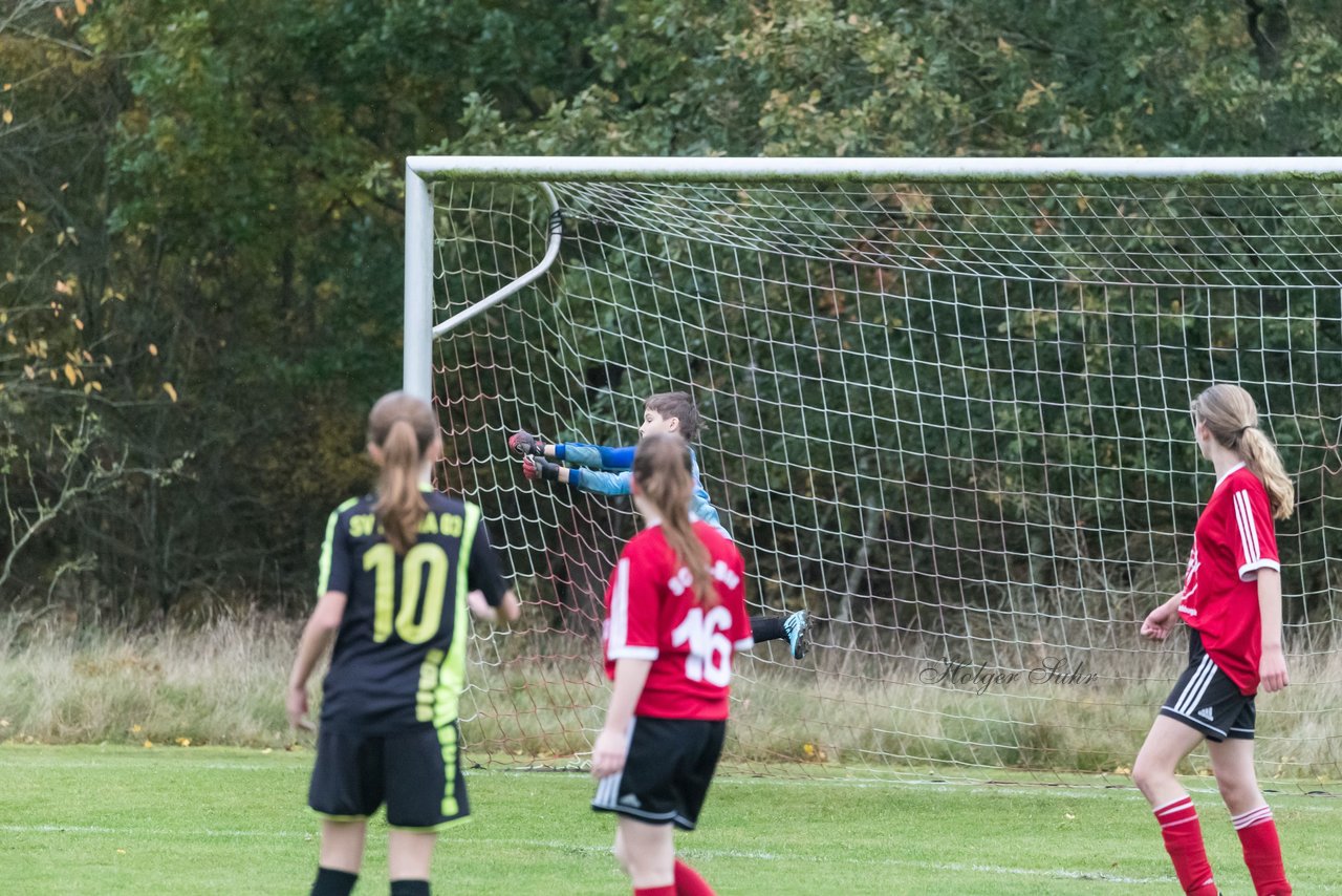 Bild 239 - B-Juniorinnen SG Mittelholstein - SV Frisia 03 Risum-Lindholm : Ergebnis: 1:12